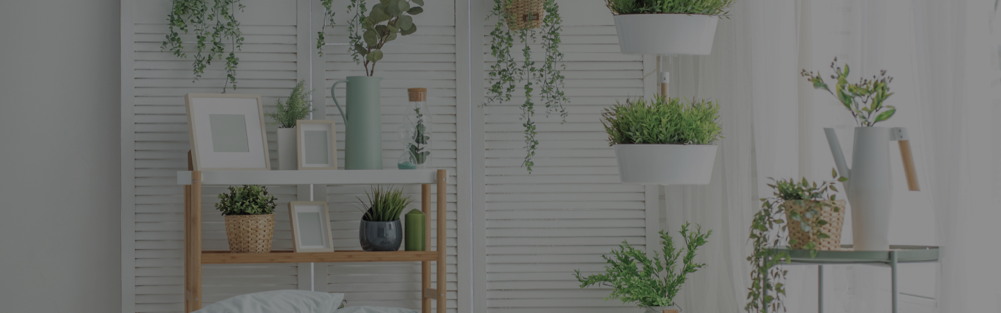 header quienes somos